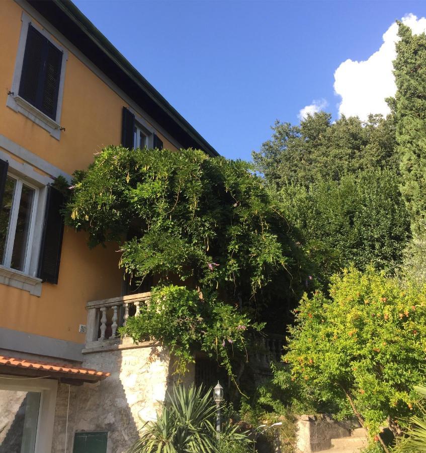 Villa Monte Bianco Mandello del Lario Dış mekan fotoğraf